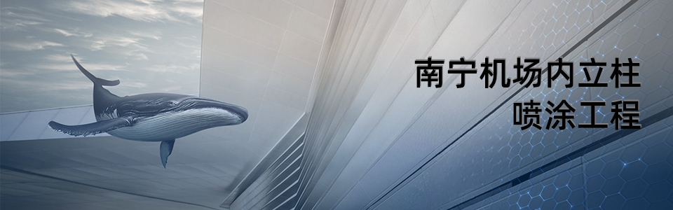 南寧機(jī)場(chǎng)航站樓 南寧機(jī)場(chǎng)航站樓外觀 - 使用英特寶陶瓷涂料效果