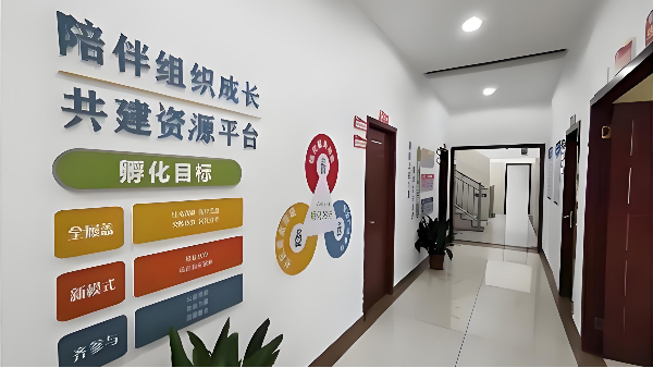 湖南長沙市雨花區(qū)社會(huì)組織孵化中心墻面工程