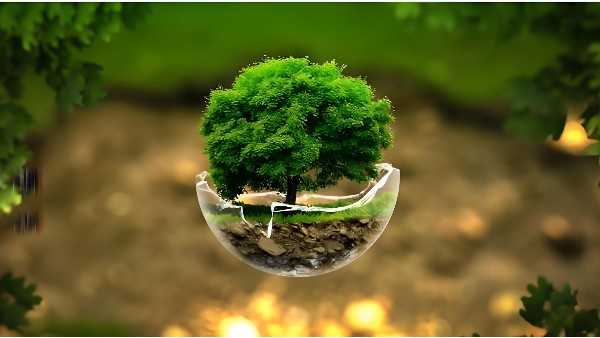 了解無(wú)機(jī)涂料與有機(jī)涂料的11大特性